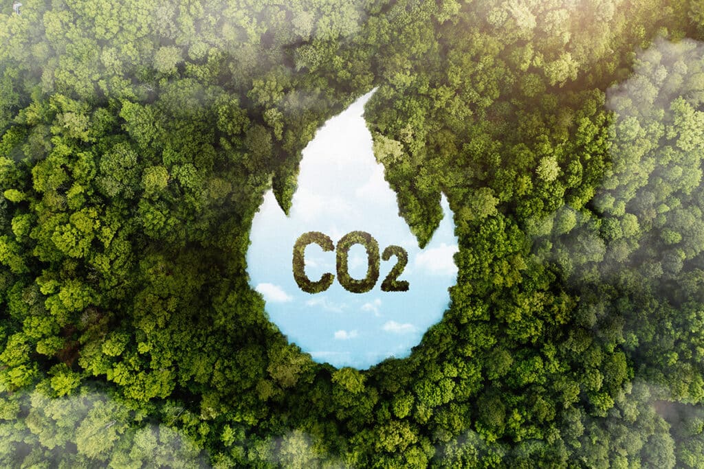 Transition énergétique : les chaudières à biomasse, une solution de chauffage durable 2