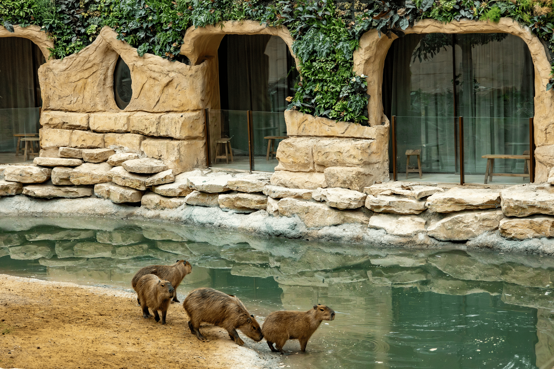 Développement durable et mixité au programme du plus grand écosystème zoologique couvert du monde 2