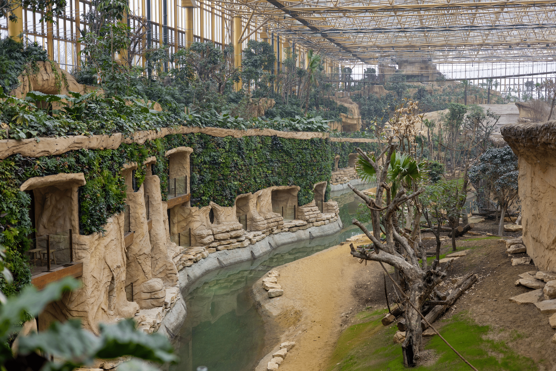 Développement durable et mixité au programme du plus grand écosystème zoologique couvert du monde 3